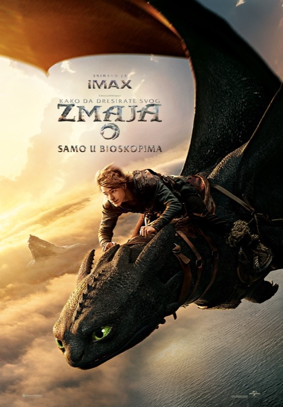 Kako Da Dresirate Svoga Zmaja (sinhro.) - 2D / How to Train Your Dragon